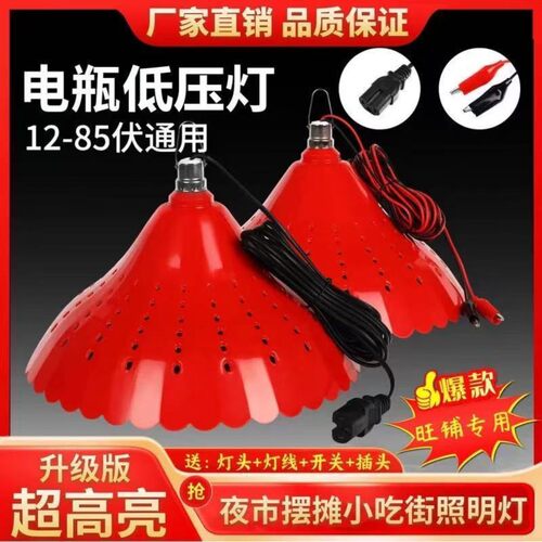 12V电瓶专用白光灯48v60V72伏电动三轮车低压led照明灯节能灯泡