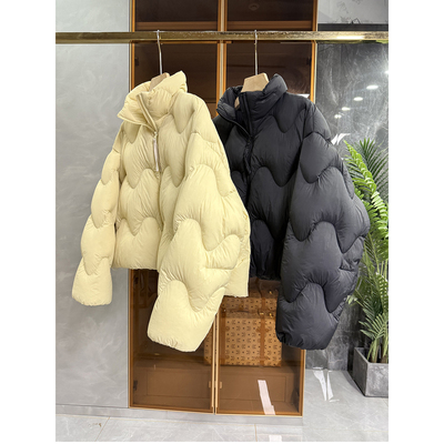 柜款宽松白鸭绒羽绒服立领短外套