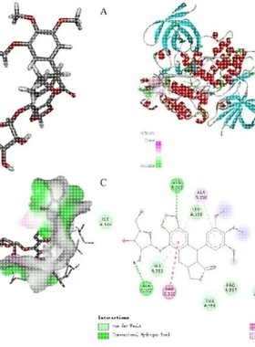 分子动力学模拟DFT MS poster studio 分子对接带教程文件出图