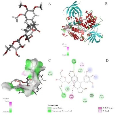 分子动力学模拟DFT MS poster studio 分子对接带教程文件出图