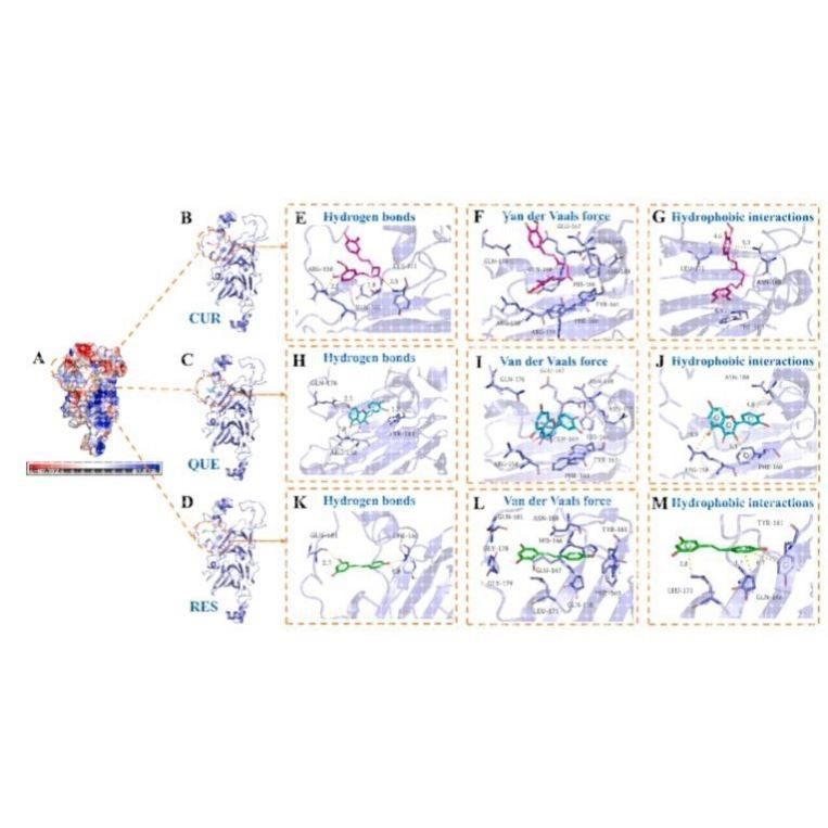 分子对接 分子动力学模拟 MMGBSA结合自由能计算
