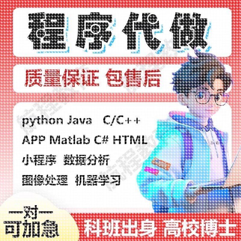 matlab程序代编代码帮做图像神经网络python代做深度学习算法彷真