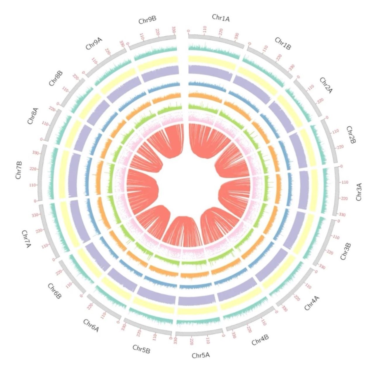生信分析服务2-5分网络药理教学tcga/geo数据课程单细胞测序挖掘