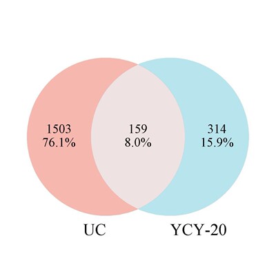 中药、单体网路药理学;药物靶点筛选;分子对接