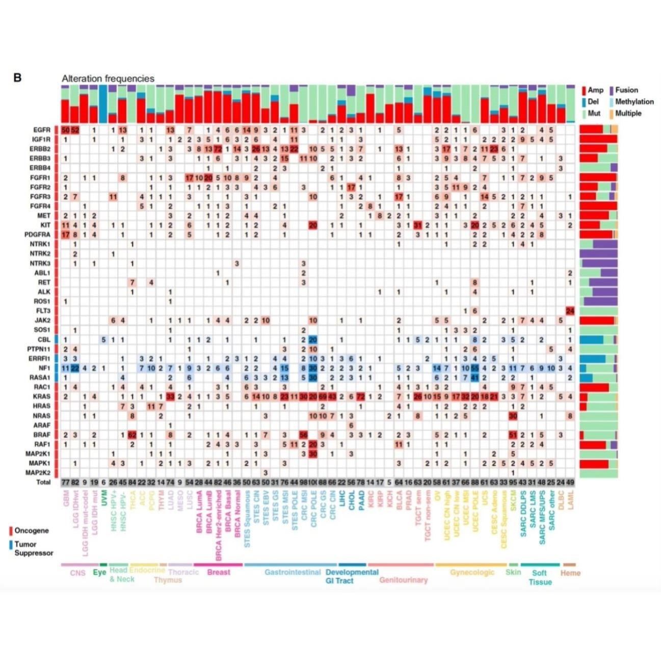 生信分析服务 TCGA/GEO数据库挖掘 细胞测序转录组分析多组学分析
