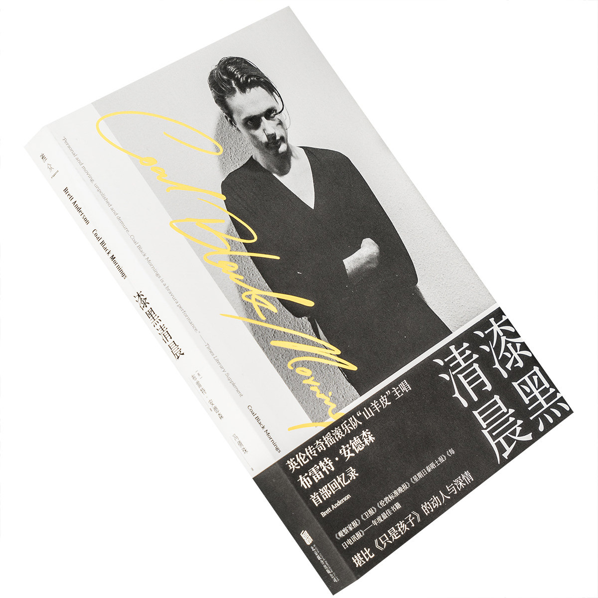 特·安德森 雅众·音乐系列精装 北京联合出版公司雅众文化 正版书籍