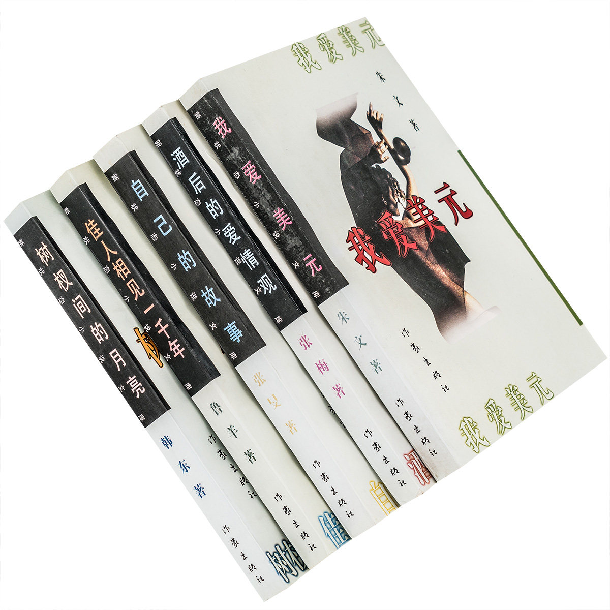 新状态小说文库全5册 我爱美元朱文 树杈间的月亮韩东 佳人相见一千年鲁羊 自己的故事张旻 酒后的爱情观张梅 老版