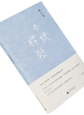 小说稗类 理想国 张大春 现货 老版珍藏