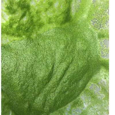 无根浮萍小水生植物水草