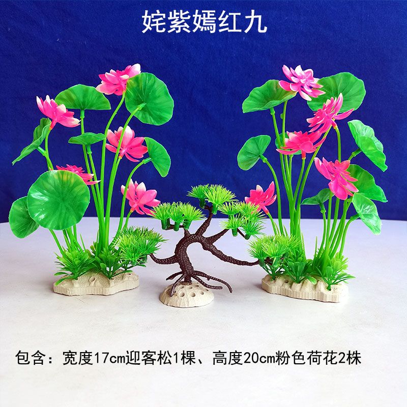 鱼缸里的装饰品造景水草图片