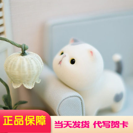 猫咪壮宝宝盲盒 Actoys植绒公仔 可爱少女心手办摆件潮流网红礼物