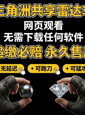 三角洲雷达共享网页分屏手机电脑通用稳定寻宝鼠护航主播同款