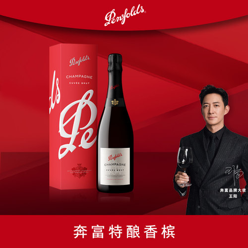 奔富特酿香槟酒法国进口起泡酒
