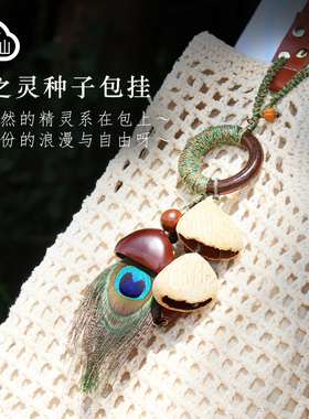 手工作果壳铃包挂件种子果实壳风摇铃女生日礼物天然配饰疗愈云南