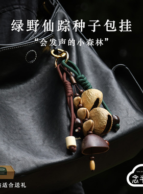 圣诞手工作果壳摇铃包包挂件配饰天然种子实壳疗愈风铃女生日礼物