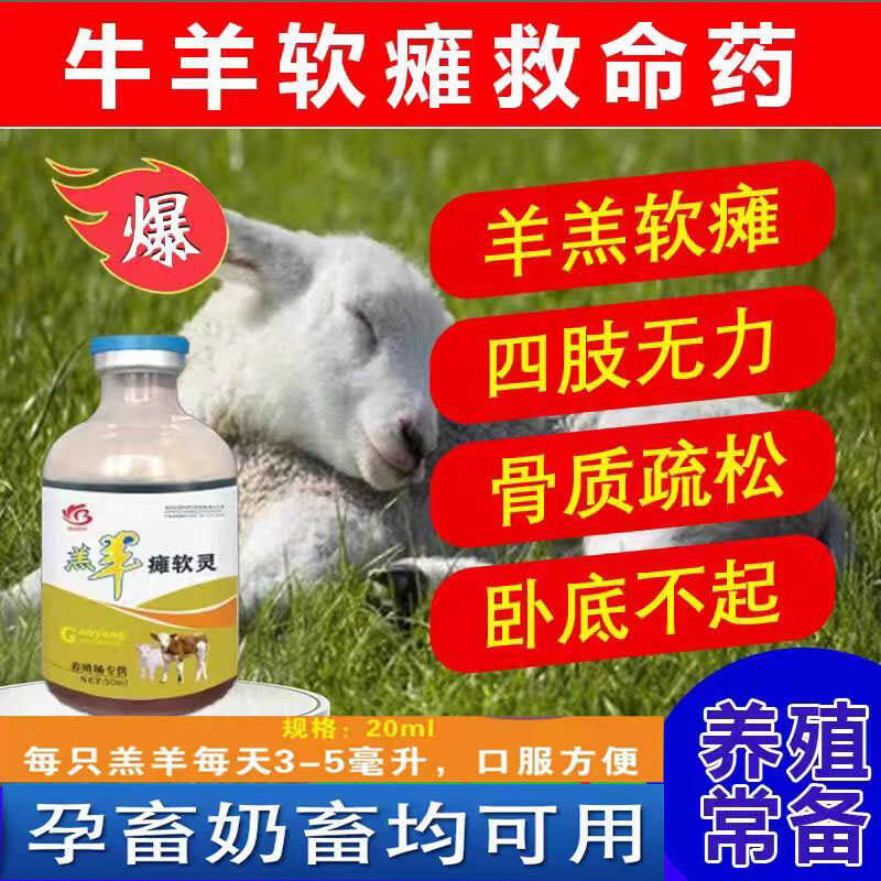 羊羔瘫软灵兽用牛羊瘫软救命液羊饲料添加剂
