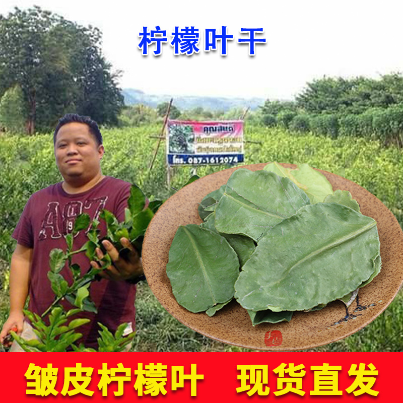 品种皱皮柠檬叶干货香茅南姜青柠檬非汤料香料非冬阴功原料