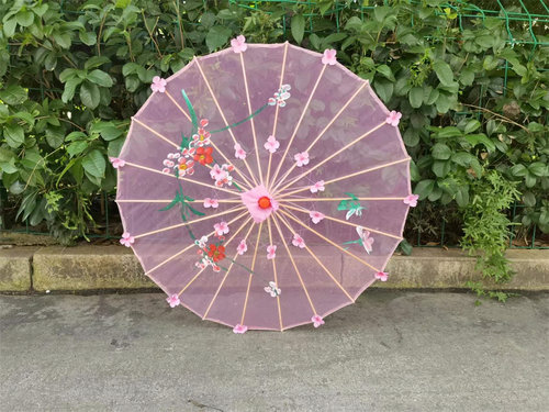 透明流苏花瓣伞演出道具伞舞蹈伞