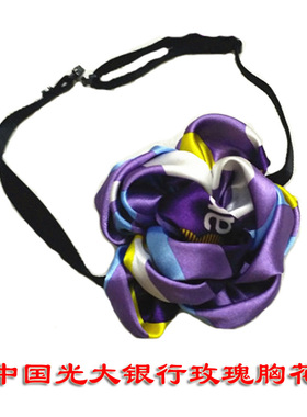 光大银行女士领花 中国光大总行分行行政窗口光大银行女士丝巾