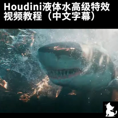 Houdini液体水高级特效视频教程（中文字幕）