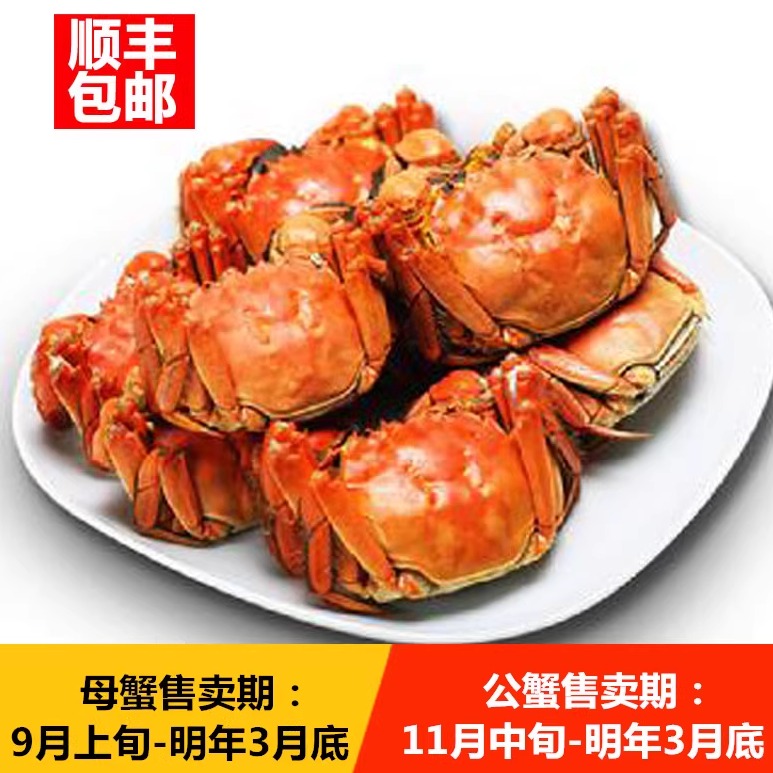 江西特产九江鄱阳湖®大闸蟹8只全母4两 规格鲜活清水螃蟹礼品
