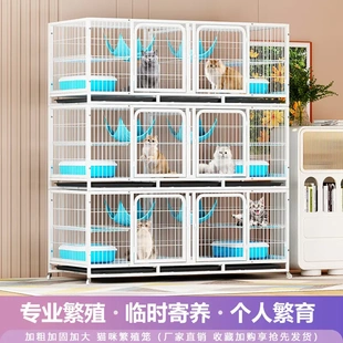 繁殖笼猫笼鸽子笼室内养殖笼宠物店猫舍寄养笼多层带隔断小型犬