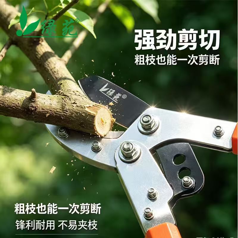 修剪树枝园林省力大力剪绿苑图片