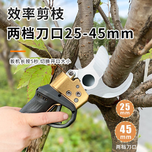绿苑电动修枝剪刀果树剪树枝锂电充电式剪子园林修枝粗枝剪电剪子 - 封面