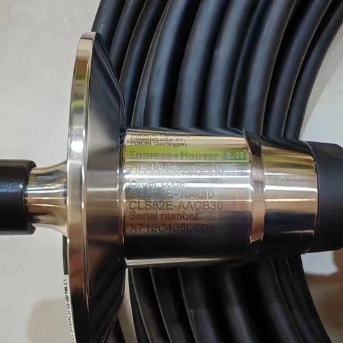 E+H恩德斯豪斯 CLS82E-AACB30电导率探头 CYK10-A201