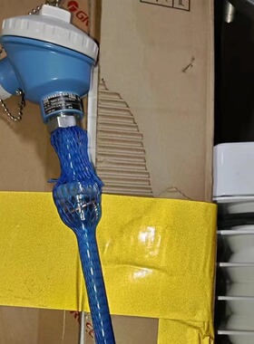 TM501 E+H恩德斯豪斯温度传感器