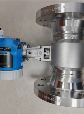 恩德斯豪斯E+H涡街流量计 7F2C1H-AAACCAAAAAAD2SKA1+AK