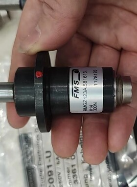 FMS张力变送器 RMGZ123A.581613.H14