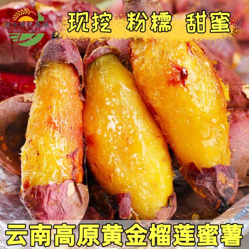 云南高原榴莲蜜薯黄金蜜薯板栗薯产地直发番薯地瓜黄心薯粉糯香甜