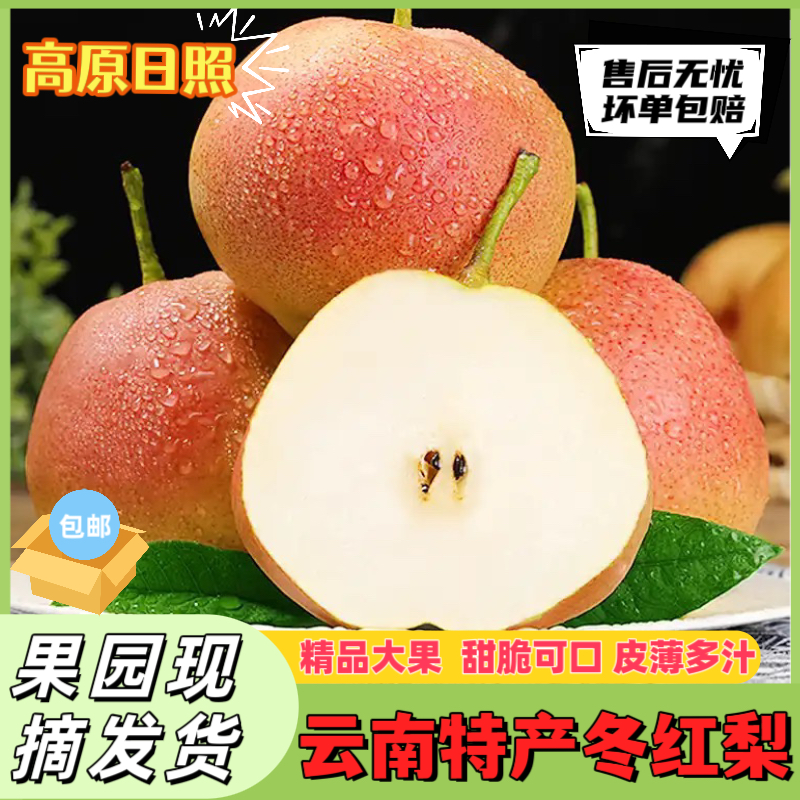 云南高原冬红梨当季新鲜梨子酥梨香梨甜脆红梨水果整箱现摘包邮