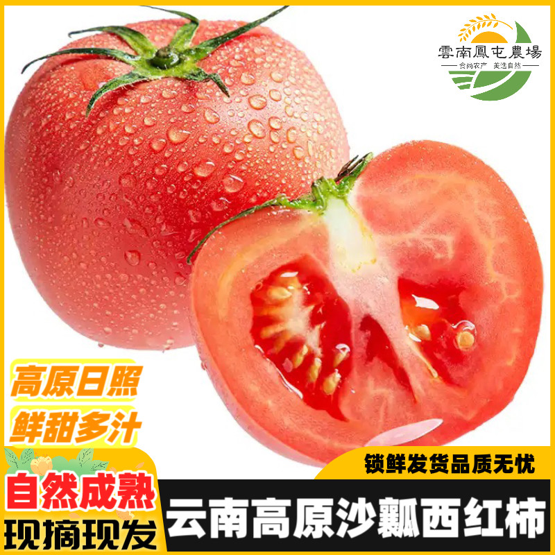 云南高原水果西红柿自然成熟新鲜蔬菜即食生吃沙瓤番茄应季现摘,水产肉类/新鲜蔬果/熟食,番茄,淘宝优惠券,粉丝福利购,淘宝优惠卷