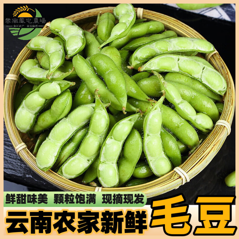 毛豆新鲜带壳青豆子疏菜嫩青豆黄豆商用云南农家自种时令生鲜蔬菜