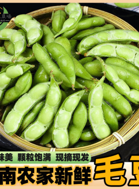 毛豆新鲜带壳青豆子疏菜嫩青豆黄豆商用云南农家自种时令生鲜蔬菜