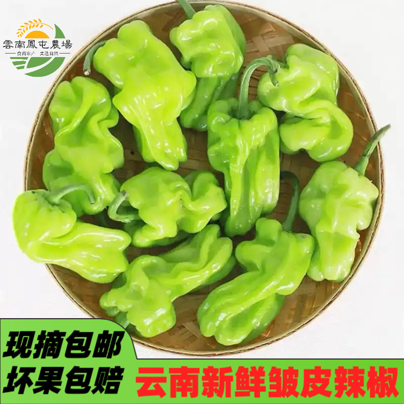 云南特产新鲜皱皮辣椒虎皮辣椒青辣椒辣味清脆新鲜蔬菜圆椒现摘