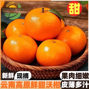 鲜甜沃柑云南高原当季现摘水果应季榨汁蜜甜精品特大沃柑包邮现发