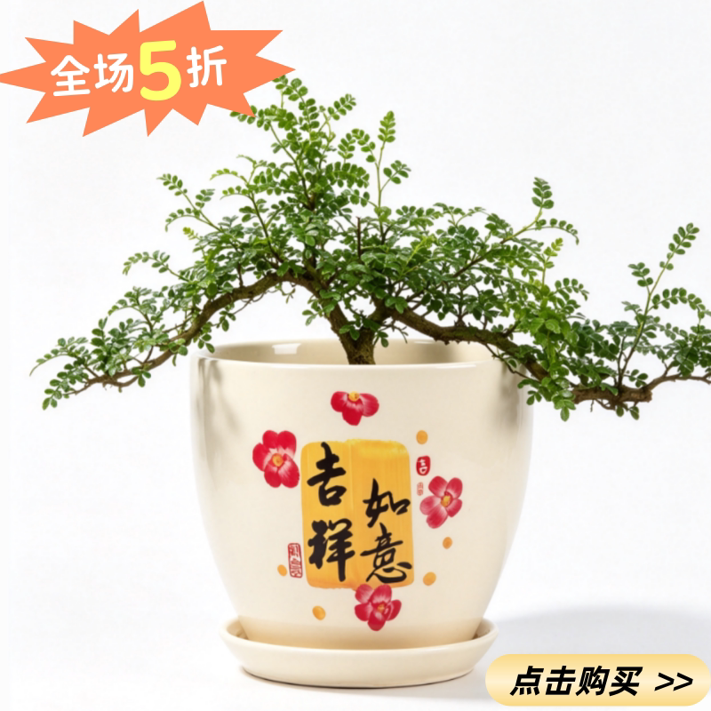 花盆陶瓷创意个性大号特大号清仓带托盘家用桌面绿萝绿植花盆特价