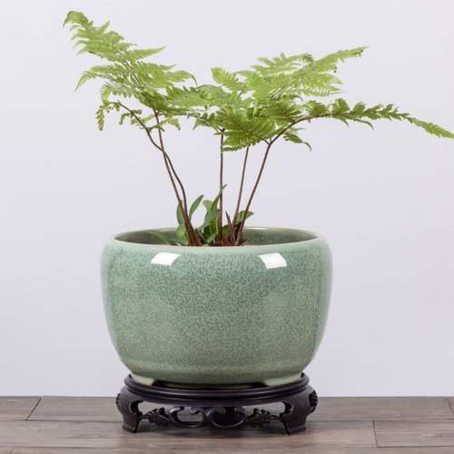 高温陶瓷简约大气点缀生活