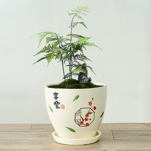 家居神器！新中式带底盘陶瓷花盆