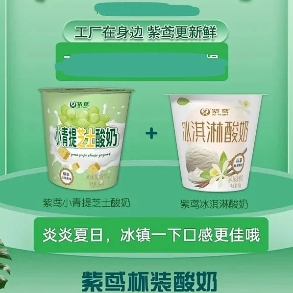 正品潍坊紫鸢酸奶多口味混搭紫鸢小青提酸奶紫鸢冰淇淋酸奶
