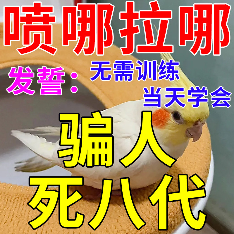 鹦鹉定点排便神器站架玄凤鹦鹉防止乱拉屎尿上厕所诱导剂用品大全