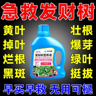 发财树复活液促生根猛发芽生根药水发财树黄叶枯叶烂根专用药