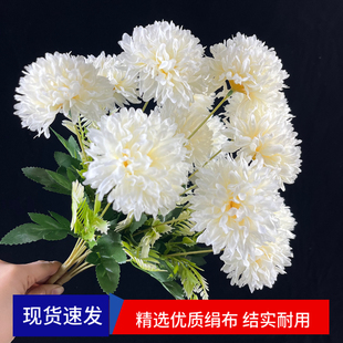 仿真菊花大朵菊花花头单支龙爪菊花花束仿真花绢花假花野外摆放花