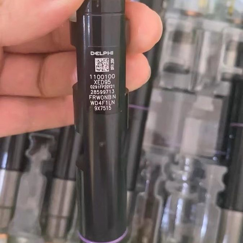 长城炮H5风骏7风骏5德尔福喷油器