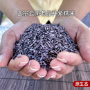 云南紫米墨江老品种紫糯米天然五谷血糯粗粮富含花青素1000克装