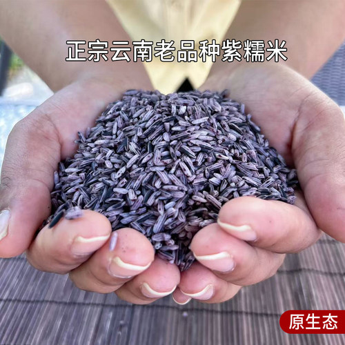 云南紫米墨江老品种紫糯米天然五谷血糯粗粮富含花青素1000克装