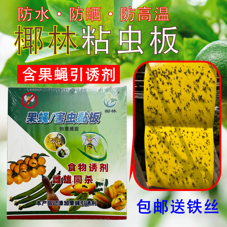 黄板单面椰林粘虫版果蝇贴粘胶粉蚤针蜂蓟马黄色沾板1包20张包邮